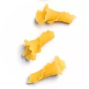 Campanelle - Pasta variety