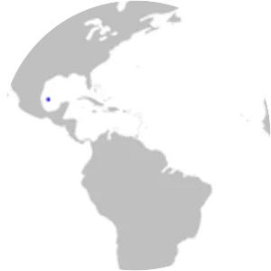 Campeche catshark - Fish