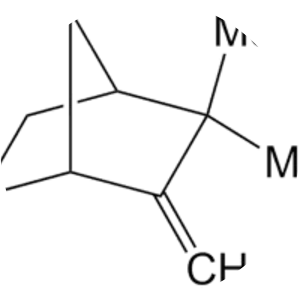 Camphene - Chemical compound