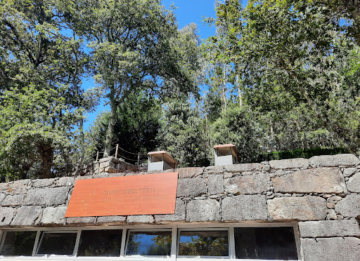 Campo de Escuteiros De Castelo De Neiva - Scout home in Portugal