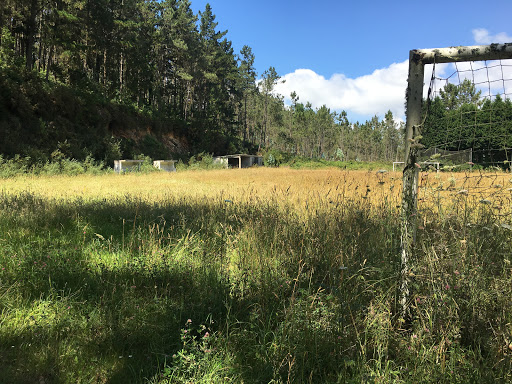 Campo de futbol de Valenza