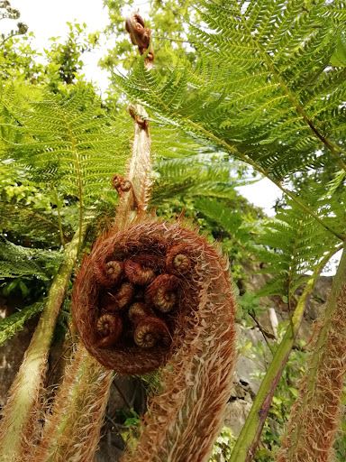 CAMPO DE SOBARBO - guest house rural - Indoor lodging in Portugal