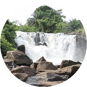 Campo Ma'an National Park - 