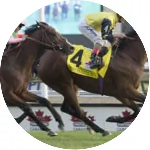 Canadian International Stakes