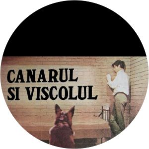 Canarul si viscolul