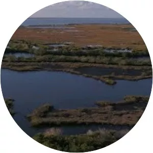 Canaveral National Seashore