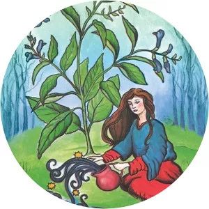 Candis Cantin - Author