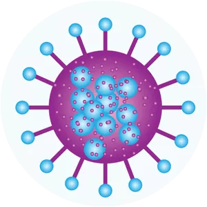 Canine parvovirus