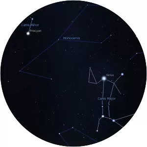 Canis Major