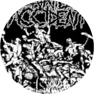 Cannibal Accident - Musical group