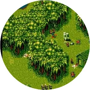 Cannon fodder photograph