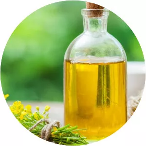 Canola oil - 