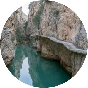 canon de almadenes - 