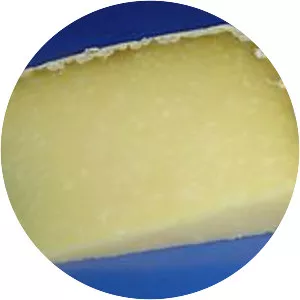 Cantal cheese - 