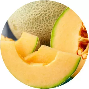 Cantaloupe