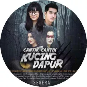 Cantik Cantik Kucing Dapur