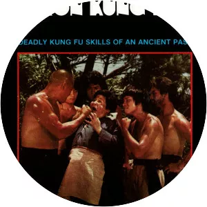 Cantonen Iron Kung Fu