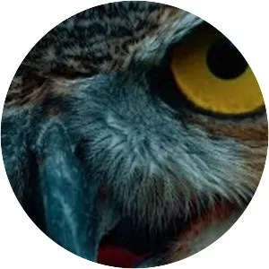 Cap Bailey - Musical artist