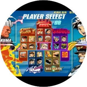 Capcom Fighting Evolution