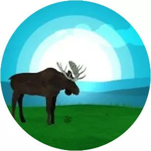 Cape Breton Highlands National Park Of Canada