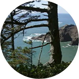 Cape Falcon Marine Reserve - 