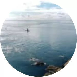 Cape Jackson, New Zealand - 