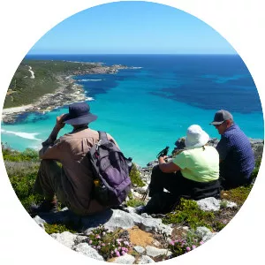 Cape to Cape Walk Track - 