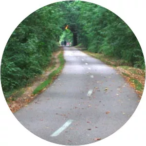 Capital Crescent Trail - 