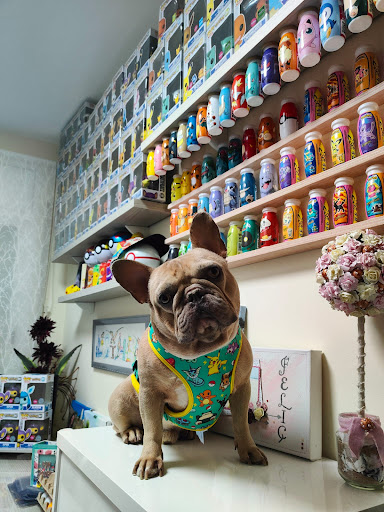 CaponeTheDog - Pet supply store in Lugo, Spain