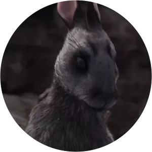 Captain Orchis - Fictional character