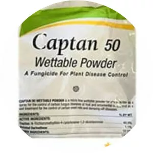 Captan - Musical artist