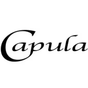 Capula Investment Management - 