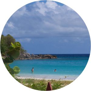 Caracas Beach - Beach in Puerto Ferro, Puerto Rico