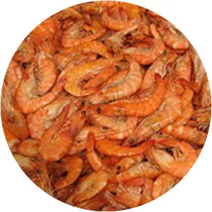 Caramote prawn