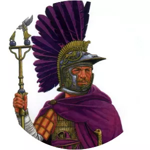 Carausius photograph