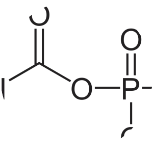 Carbamoyl phosphate - 