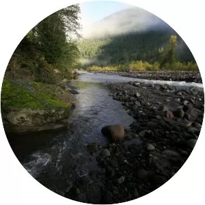 Carbon River