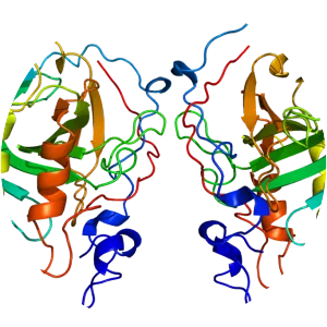 Carbonic anhydrase 4 - 