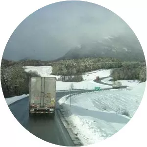 Cardenal Antonio Samoré Pass