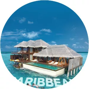 Caribbean Life - TV program