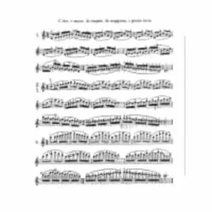 Carl Flesch - Violinist