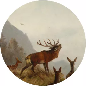 Carl Friedrich Deiker