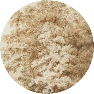 Carl Wilhelm Kolbe the Elder