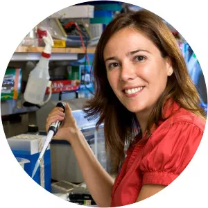 Carla V. Rothlin - Researcher