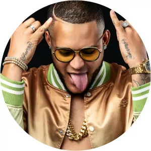 Carlitos Way - Musical artist