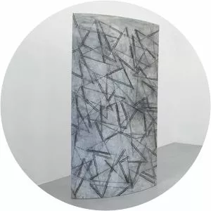 Carlo Ciussi - Artist