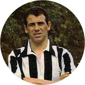Carlo Dell'Omodarme - Italian footballer