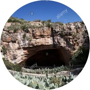 Carlsbad Cavern Natural Entrance - 