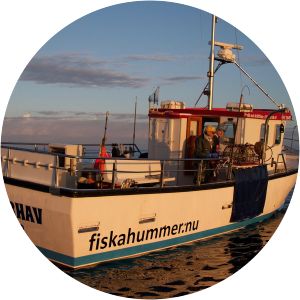 carlstens fästning fiskahummer.nu