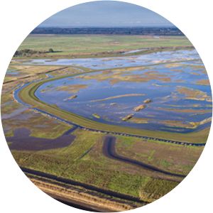 Carlton and Oulton Marshes